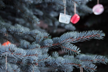 Christmas toy made of ice, ice toy, Christmas toy hanging on the Christmas tree, branch of the...