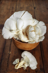 Close up view of fresh raw Jamur tiram putih or White Oyster mushrooms with gills textures. Healthy food vegetable for health daily consume