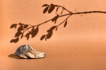 Stone podium with shadow of blooming sprig on pastel beige background for displaying your product. Nature aesthetic, eco trend. Space for text.