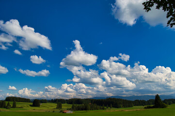 Fototapeta premium field and blue sky