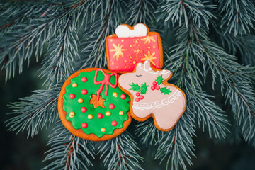 Baked traditional Christmas homemade gingerbread cookies.