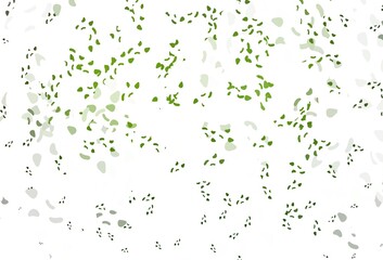 Light green vector pattern with chaotic shapes.