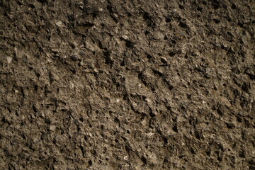 wall