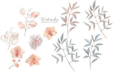 Hand-drawn botanical colorful floral clipart. Watercolor natural collection