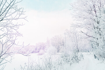 Obraz na płótnie Canvas View of the winter snow-covered forest. Christmas light background