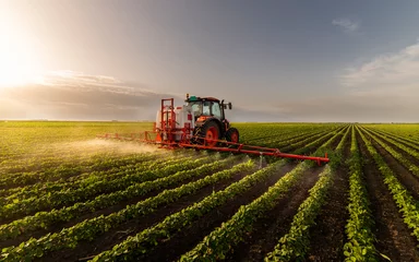 Zelfklevend Fotobehang Tractor Trekker spuiten soja veld in zonsondergang.