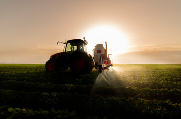 Fototapeta premium Tractor spraying soy field in sunset.