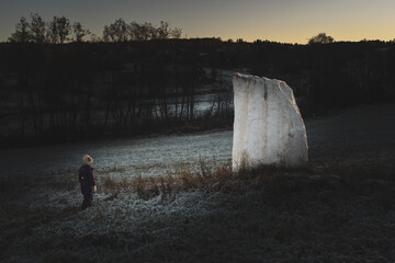 whitewashed stone in rural landscape