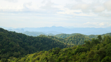 Naklejka premium the natural mountain 