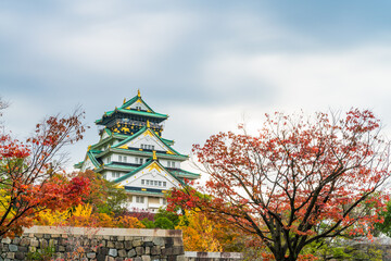 Fototapeta premium Osaka Castle in autumn. Japan