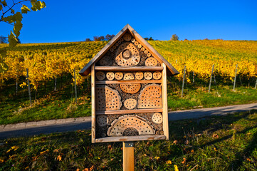 An insect hotel stands in front of a yellow colored vineyard during autumn.
