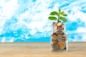 Money growth concept, coin column and green leaves