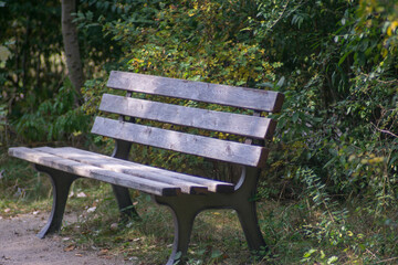 A park bench with a wooden seat