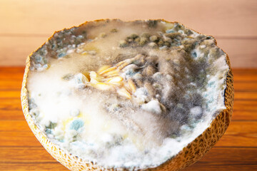 Blue and black mold on melon. Spoiled food. Poisonous fruit.
