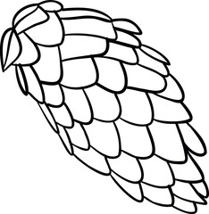 hand drawn botany, plant outlines