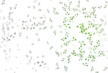 Light green vector background with abstract forms.