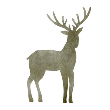 Deer watercolor drawing isolated on white background.