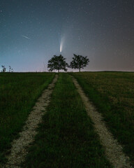 Road to trees in the field at night and Neowise comet