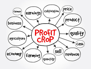 Profit crop mind map, business concept for presentations and reports