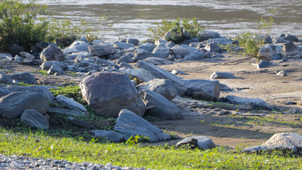 the stream with the nature
