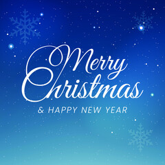 3D High Quality Merry Christmas and Happy New Year Background with Falling Snow . Isolated Vector Elements