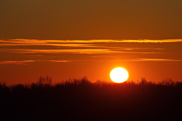 Fototapeta premium Winter sunset in the suburbs of Moscow.