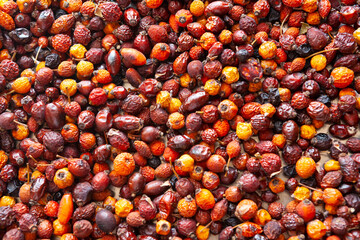 Dry fruits of wild rosehip are scattered in a thin layer over the surface.