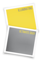 Colors of the year 2021 Yellow Illuminating and ultimate gray in white borders. Vector illustration