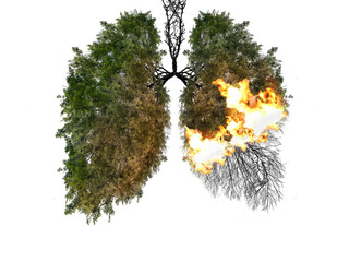 Abstract silhouette of lungs on a white background . Trees are the lungs of the planet. Air...