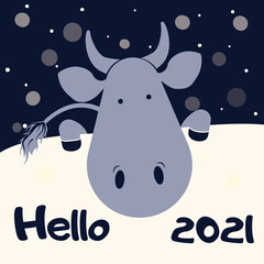 Lettering Hello 2021. Cute Ox. Monochrome Greeting card for Happy Chinese new year 2021 with funny bull. Vector illustration. Square greeting cards. Merry Christmas