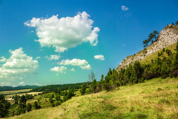 Outstanding limestone rock. Smolegowa Skala. Pieniny Mountains, Poland.