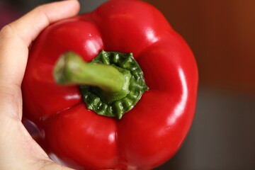 Chef holds whole red bell pepper. Making Chicken and Egg Galette Series.