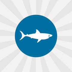 shark isolated vector icon. sea animal design element