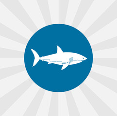 shark isolated vector icon. sea animal design element