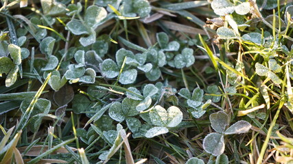 Europe, Ukraine, Kiev - December 11, 2020: Abnormal weather.  Heavy ice.  Freezing and icing on the road.  Frozen grass and trees