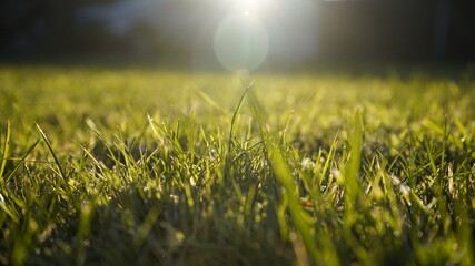 Europe, Ukraine, Kiev - December 11, 2020: Abnormal weather.  Heavy ice.  Freezing and icing on the road.  Frozen grass and trees