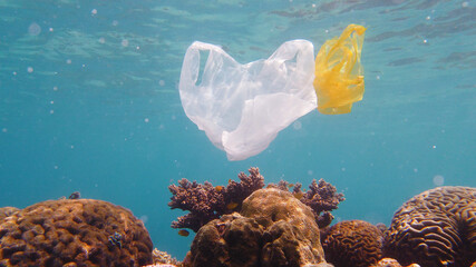 Environmental Pollution - A discarded white plastic bags drifts over a tropical coral reef....