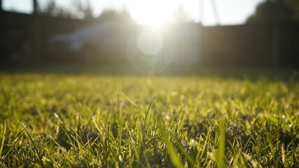 Europe, Ukraine, Kiev - December 11, 2020: Abnormal weather.  Heavy ice.  Freezing and icing on the road.  Frozen grass and trees