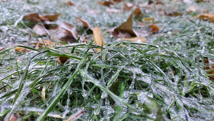 Europe, Ukraine, Kiev - December 11, 2020: Abnormal weather.  Heavy ice.  Freezing and icing on the road.  Frozen grass and trees