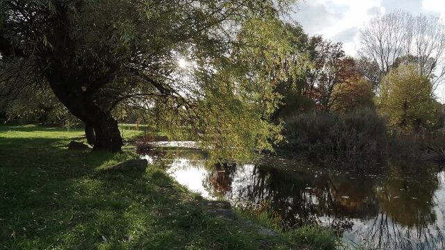 Beautiful lake in the autumn Park. Relaxing, meditative nature moment. Steadicam shot.