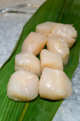 Raw Scallops