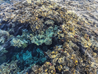 colorful underwater world in the sea view from above on vacation