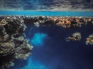 Fototapeta na wymiar cave in blue water in de deep over corals with view to the surface