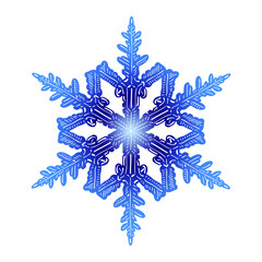 Snow flake 7 © Agata Sobczyk
