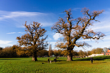Autumn-Winter Landscapes