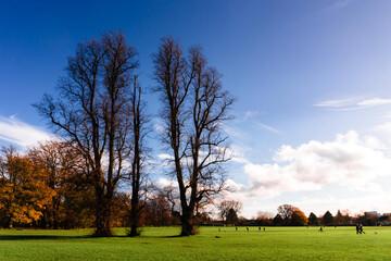 Autumn-Winter Landscapes