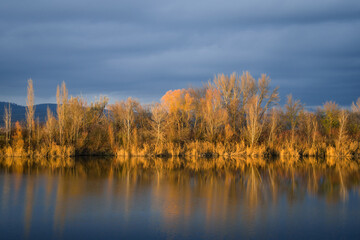 Orange foliage reflected in a quiet lake in Burgenland