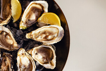 Raw oysters with ice and lemon slices on a plate