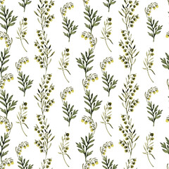 Watercolor seamless pattern with stylized twigs, flowers and leaves of the Wormwood plant