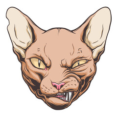 Angry cat portrait on the white background. Vector drawing. 